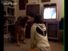 A dog approaches a girl to give her a cunt.